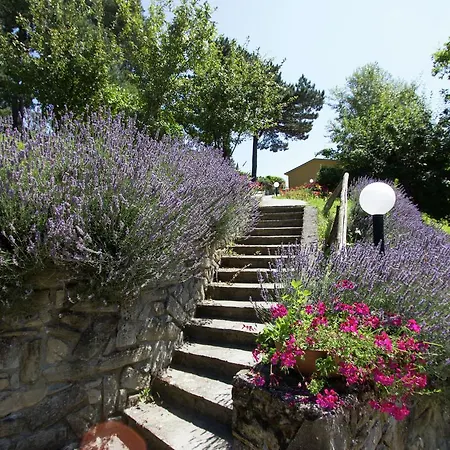Hébergement de vacances Beautiful With Terrace, Located In Nature *